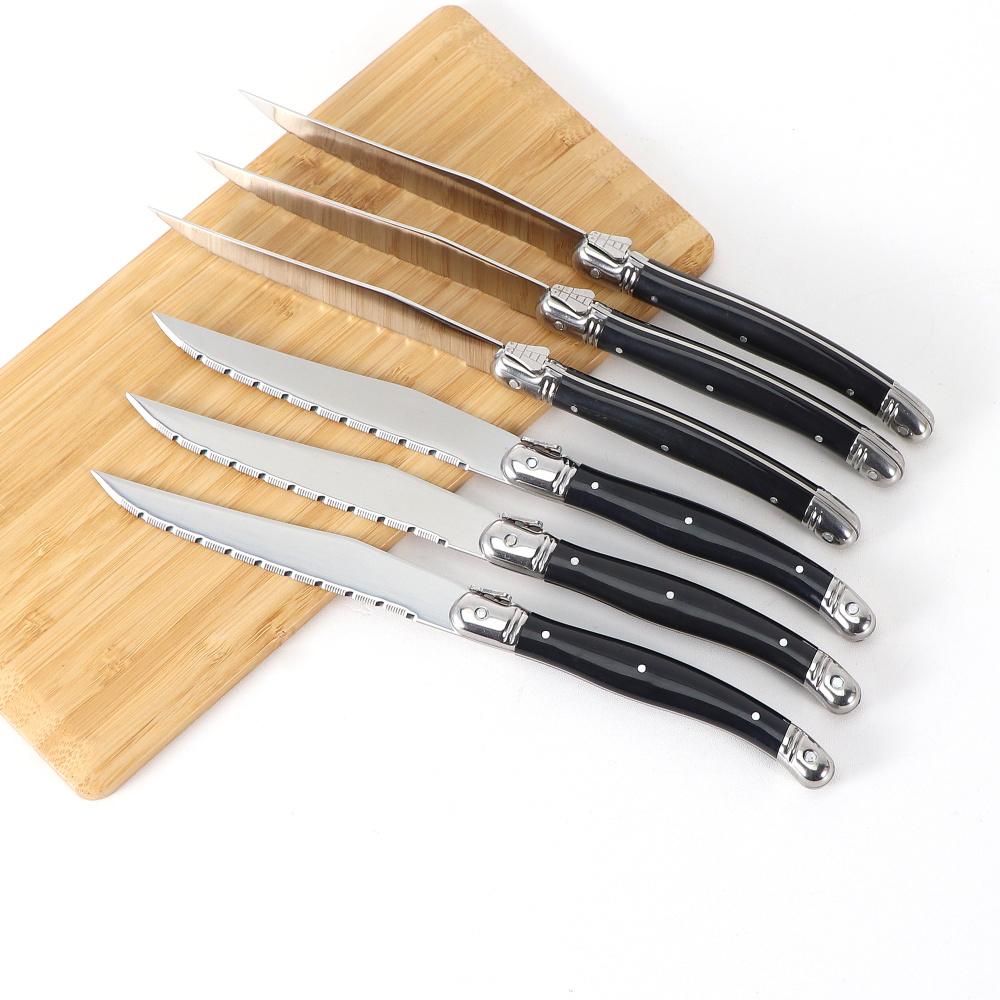 Jaswehome 24-teiliges Laguiole – Commercial Kitchen Knives Bewertung und Preis