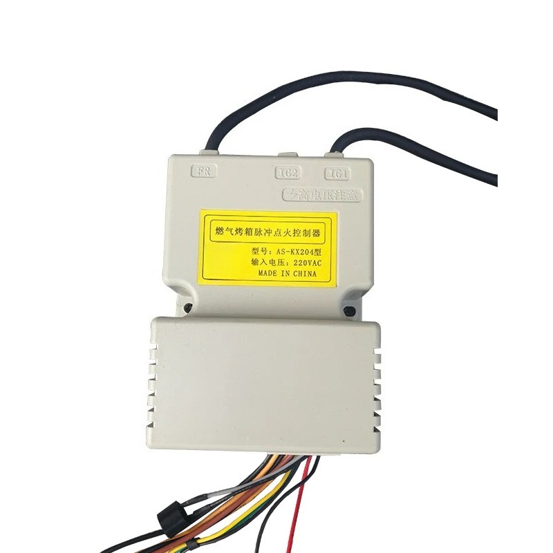 220V Universal-Impulszündsteue – Commercial Kitchen Repair Bewertung und Preis